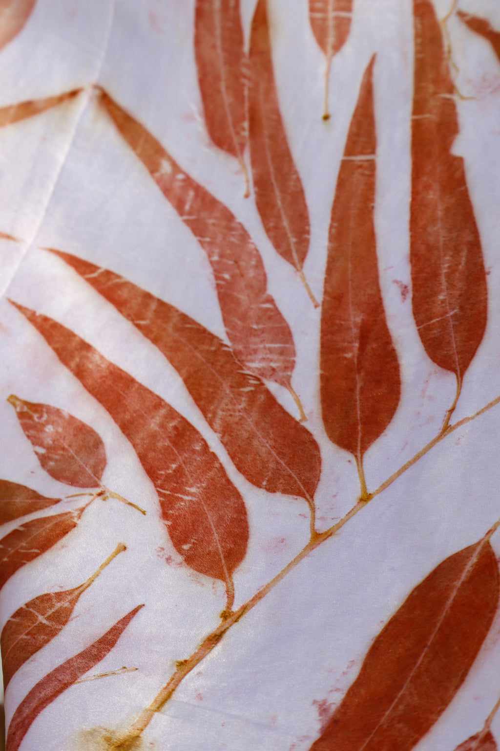 Eucalyptus Eco Printed Classic Silk Scarf